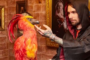 Фотография квеста Гарри и тайная комната от компании Pandoroom (Фото 2)