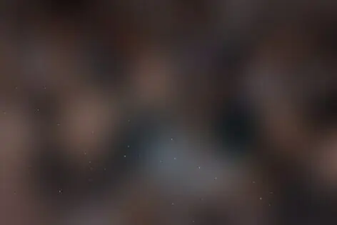 Квиз «Imom's» от Imom's