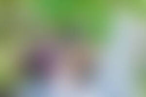 Фотография квеста-анимации Гарри и шесть ключей от компании Макси-бум (Фото 1)