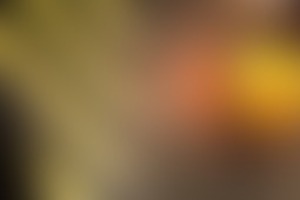 Фотография квеста Параграф 71 Секретный бункер от компании выХод (Фото 2)