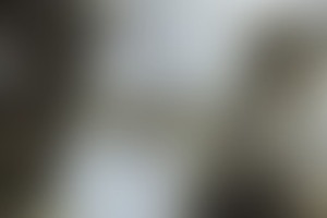 Фотография квеста Параграф 71 Секретный бункер от компании выХод (Фото 3)