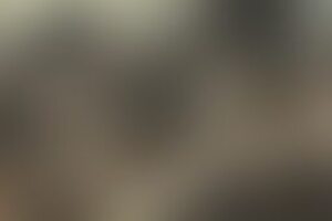Фотография квеста Бункер. Проект "Звездные врата" от компании Quest Hunters (Фото 1)